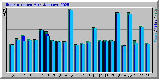 Hourly usage for January 2020